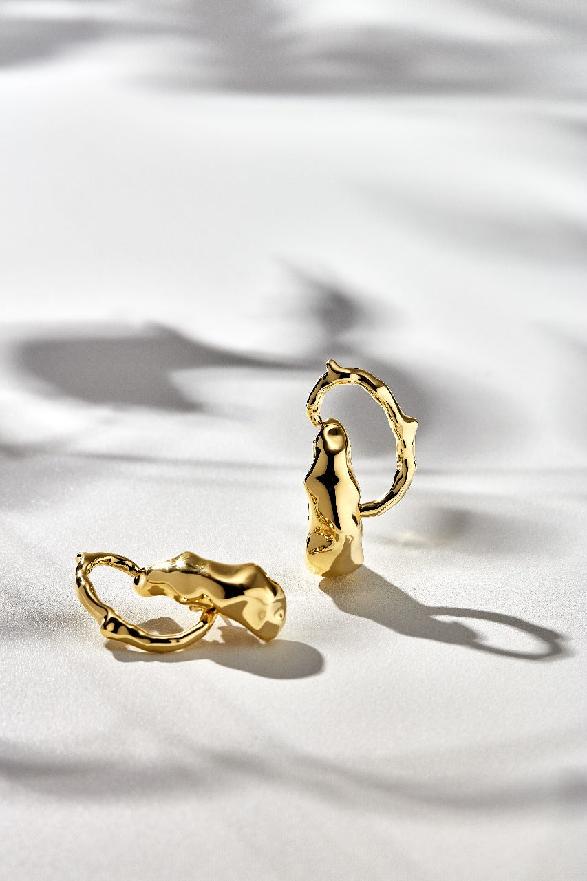Vanessa Earhook